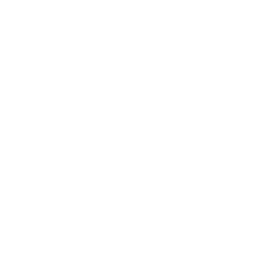 Elastic